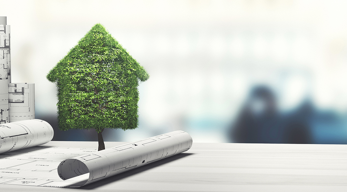La maison écologique est favorisée en 2025