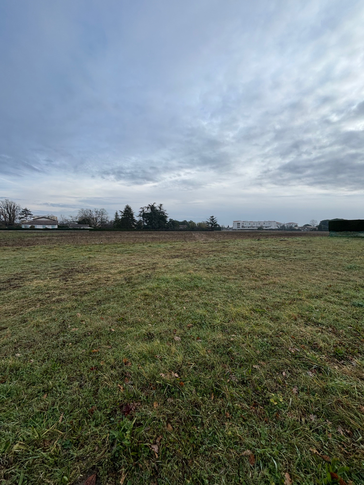 Vente maison à Fenouillet (31150) de 118 m2 habitable sur terrain de 503 m2