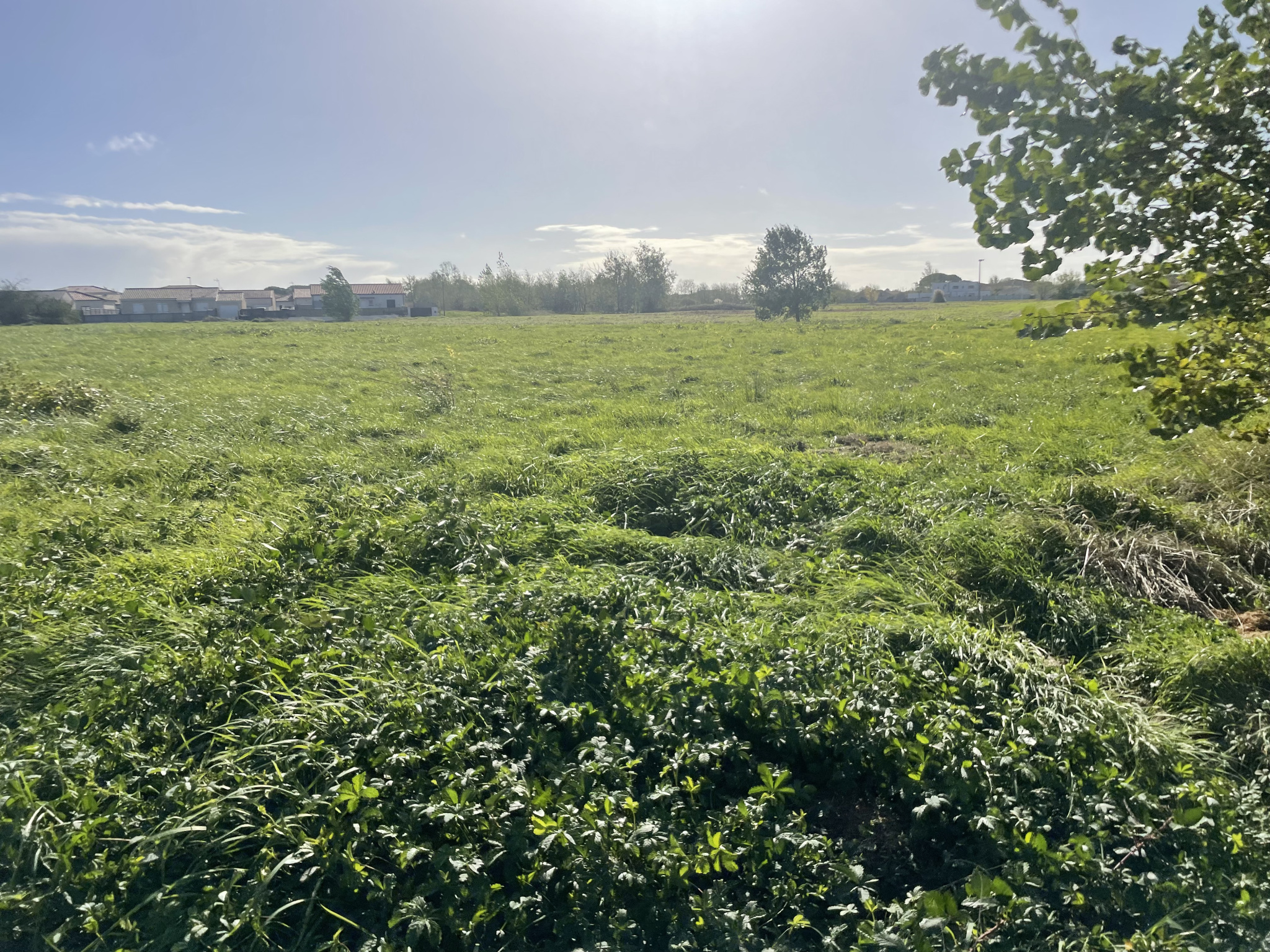 Vente maison à Negrepelisse (82800) de 80 m2 habitable sur terrain de 660 m2