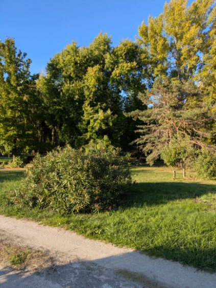 Vente maison à Soual (81580) de 58 m2 habitable sur terrain de 1160 m2