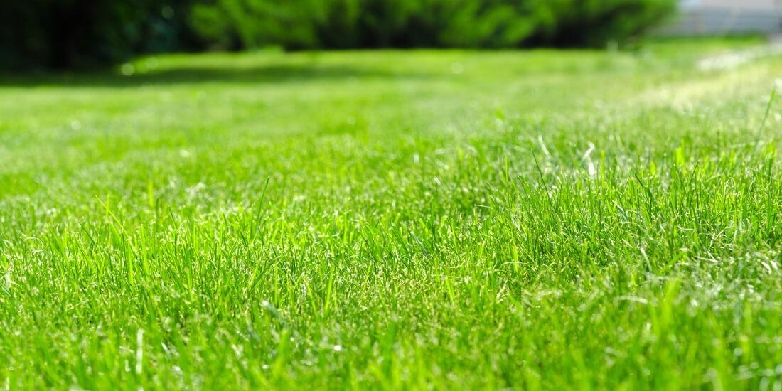 Vente maison à Lescar (64230) de 96 m2 habitable sur terrain de 344 m2