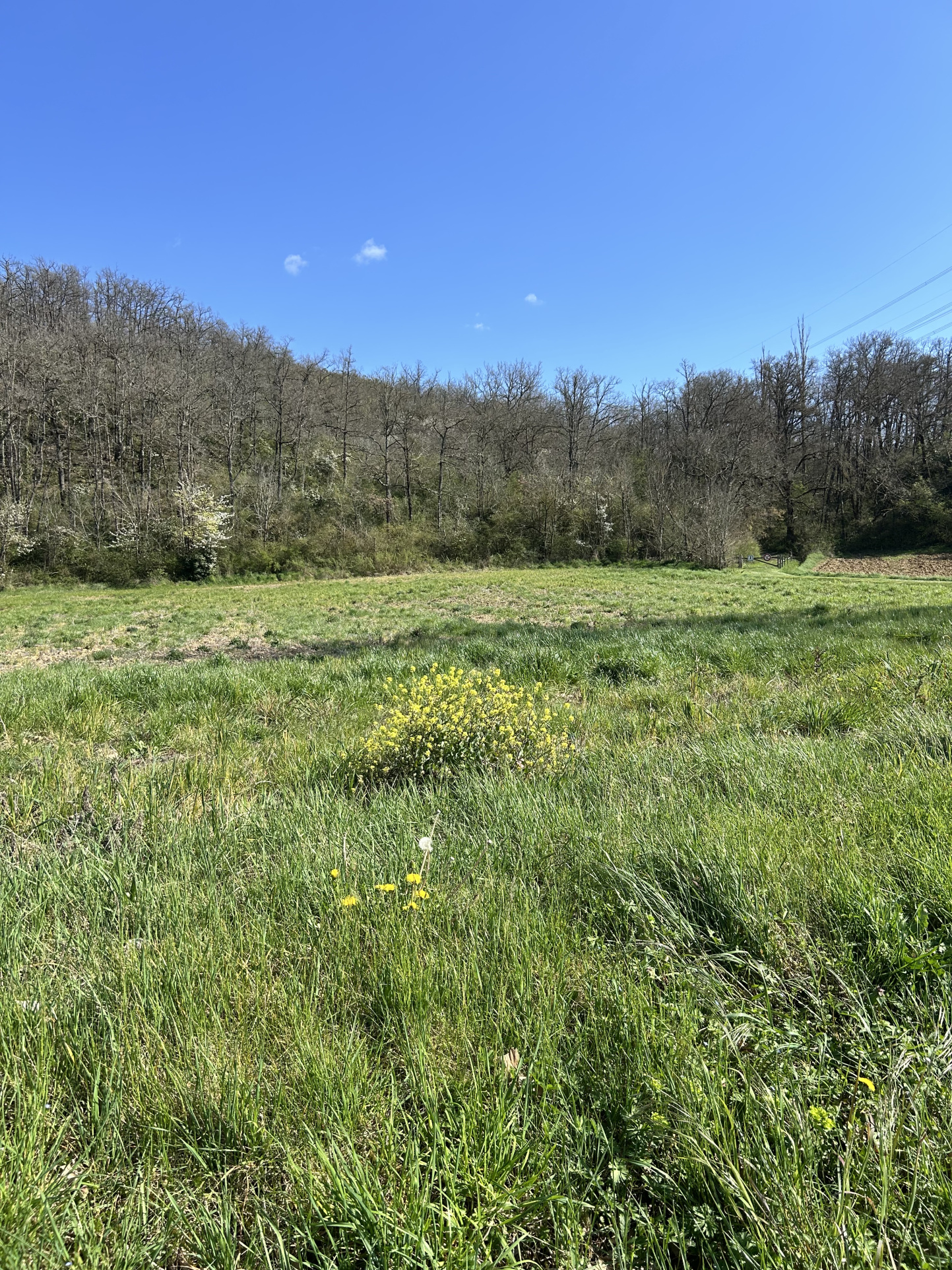 Vente maison à Mauzac (31410) de 90 m2 habitable sur terrain de 452 m2