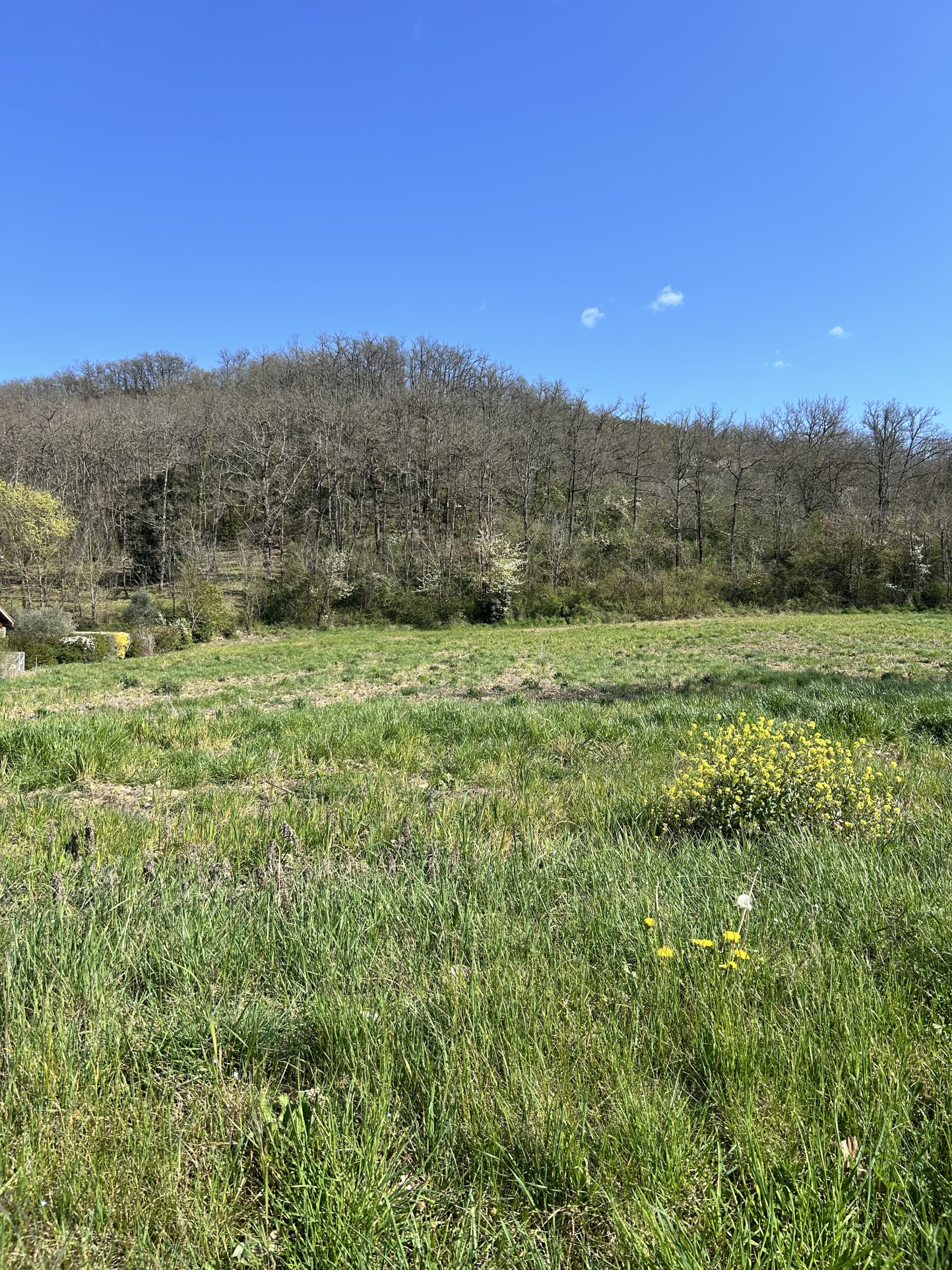 Vente maison à Mauzac (31410) de 90 m2 habitable sur terrain de 452 m2
