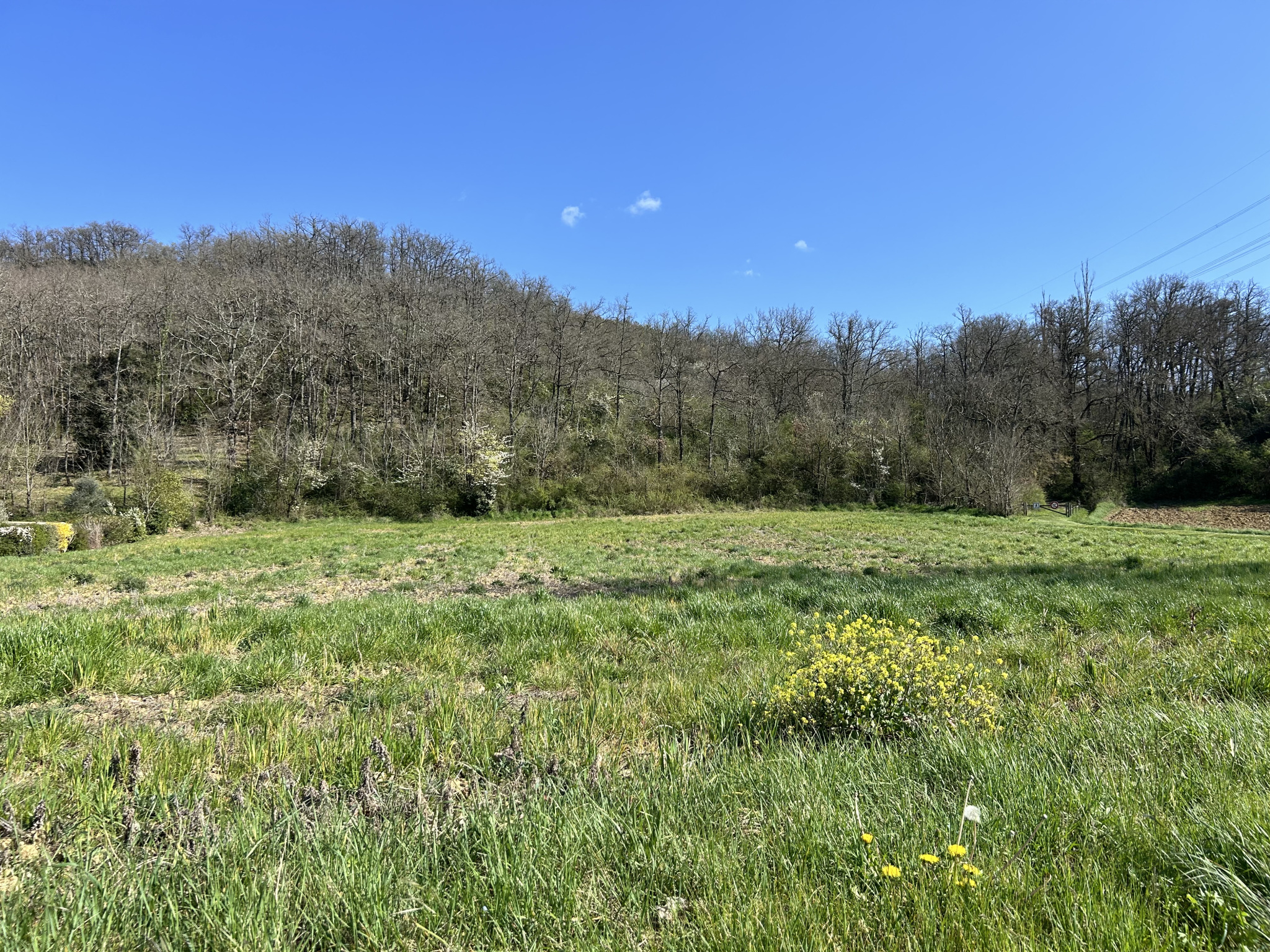 Vente maison à Mauzac (31410) de 90 m2 habitable sur terrain de 452 m2