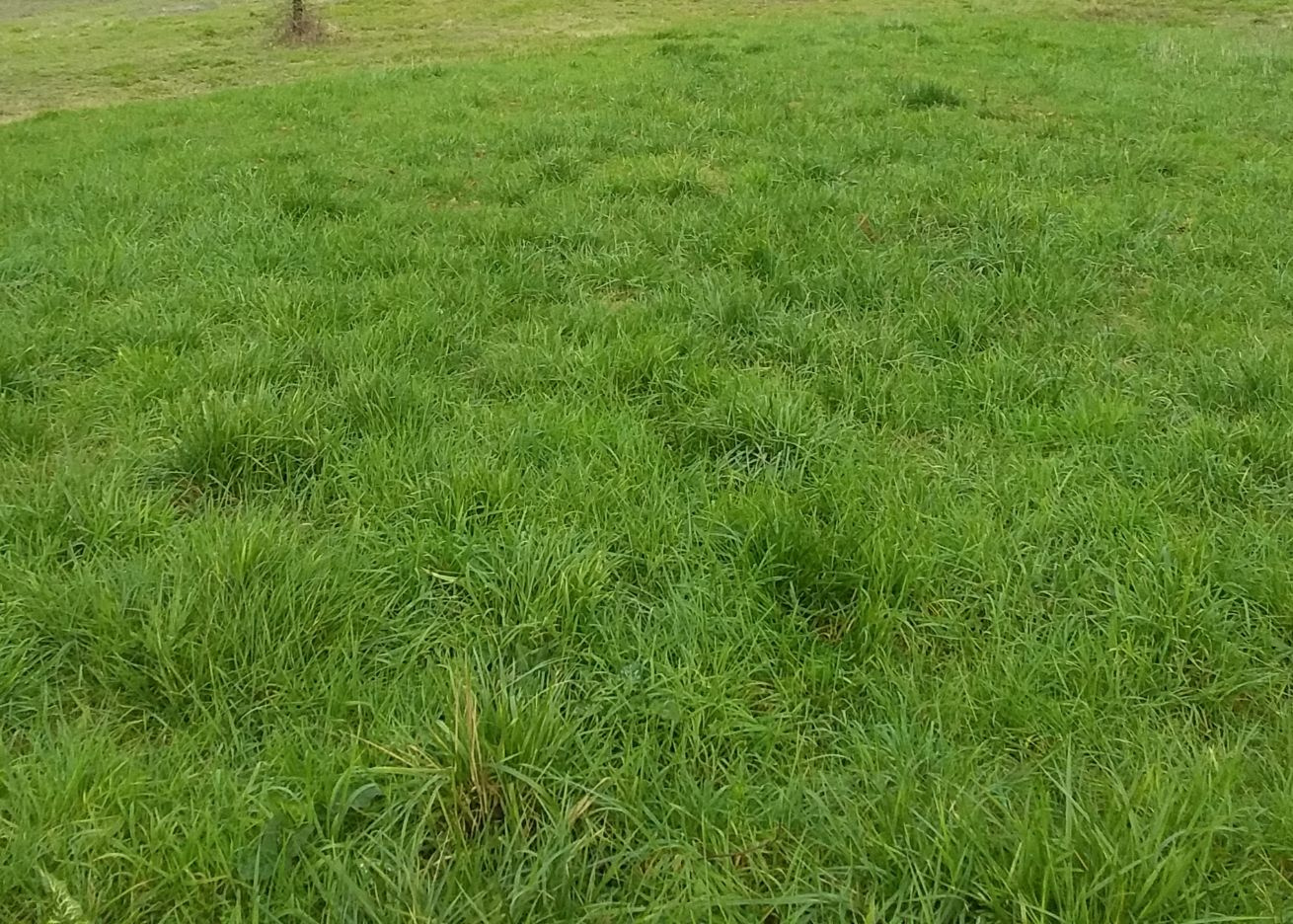 Vente maison à Villeneuve sur lot (47300) de 94 m2 habitable sur terrain de 548 m2