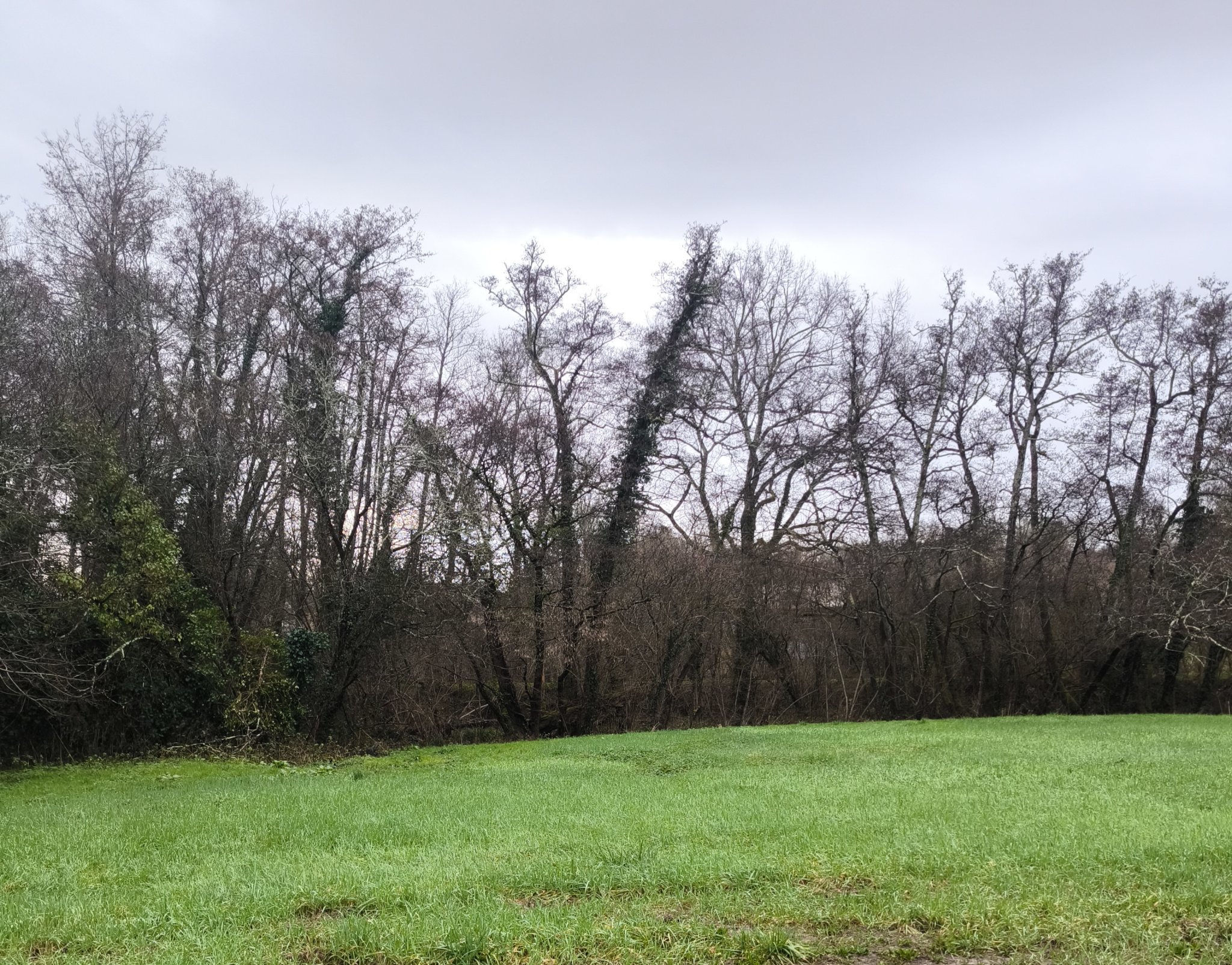 Vente maison à Fronton (31620) de 120 m2 habitable sur terrain de 630 m2