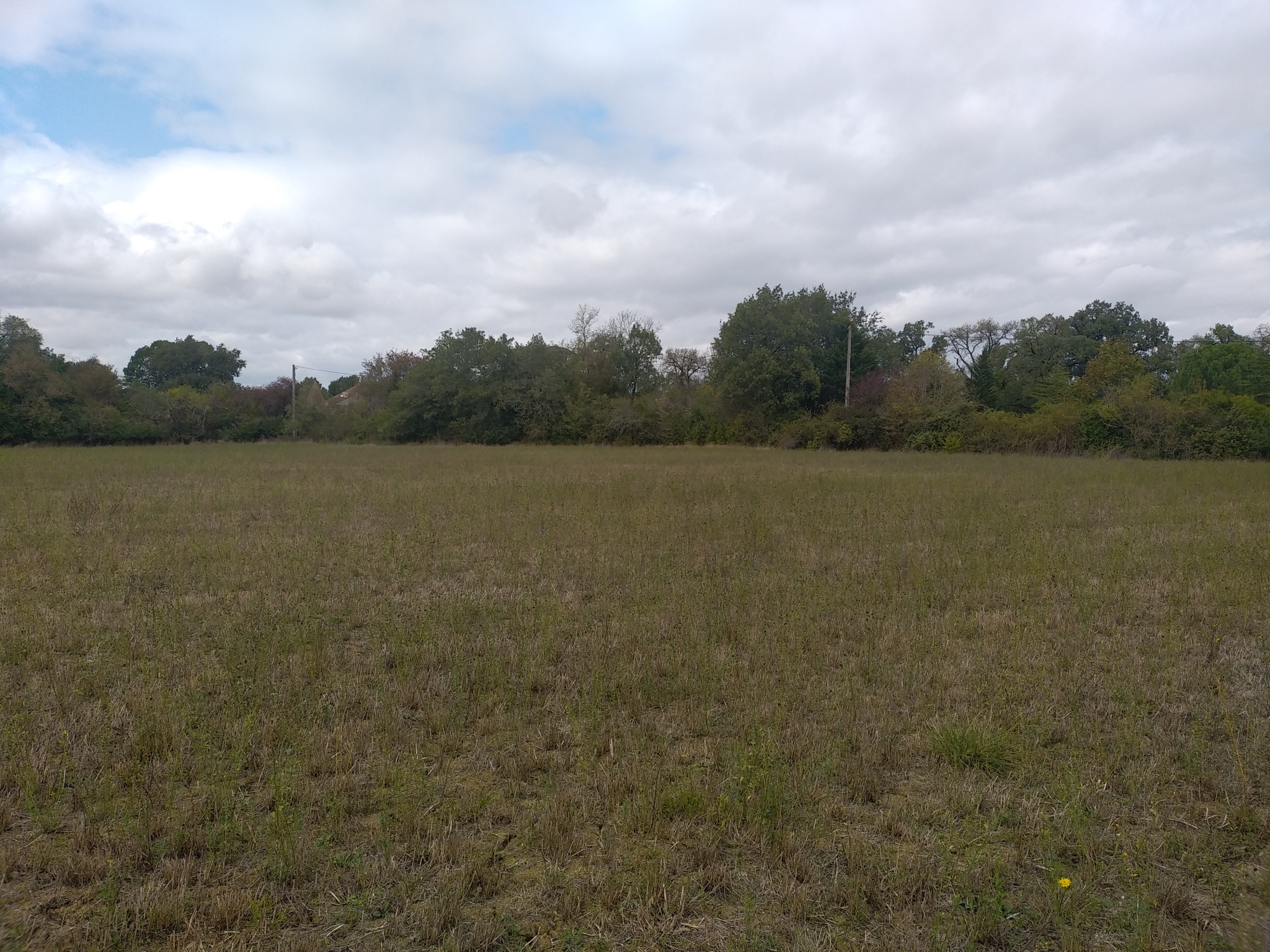 Vente maison à Moncaut (47310) de 90 m2 habitable sur terrain de 626 m2