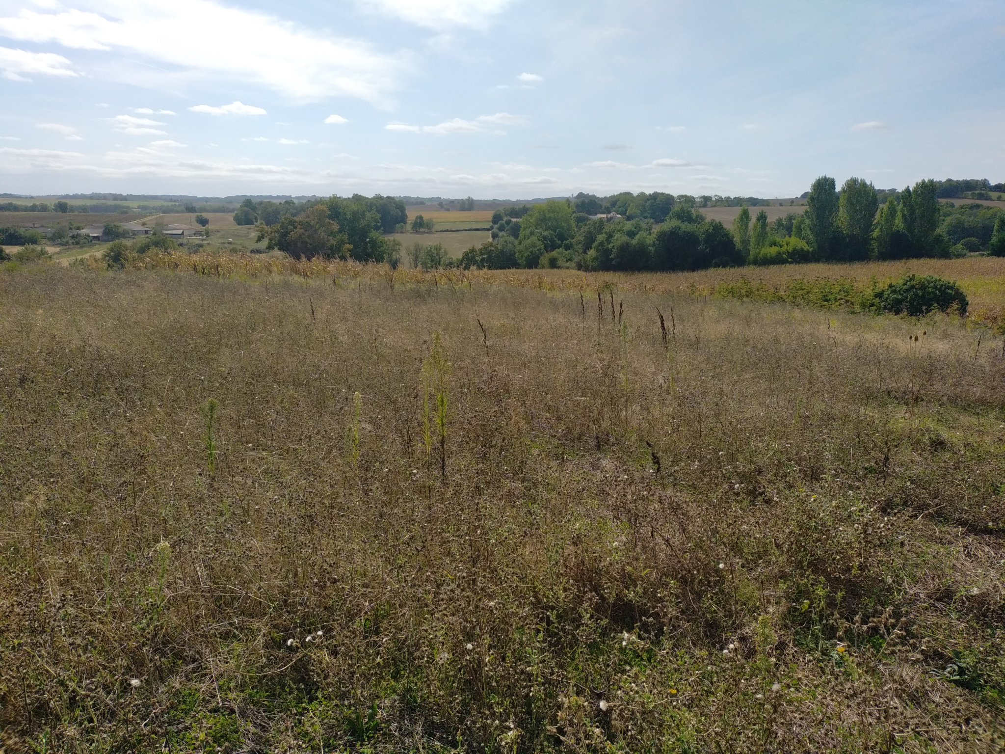 Vente maison à Astaffort (47220) de 105 m2 habitable sur terrain de 1694 m2
