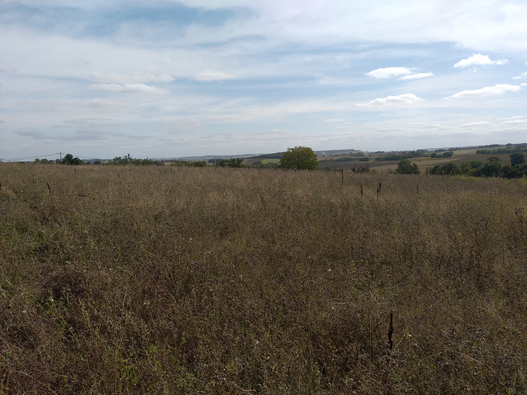 Vente maison à Astaffort (47220) de 105 m2 habitable sur terrain de 1694 m2