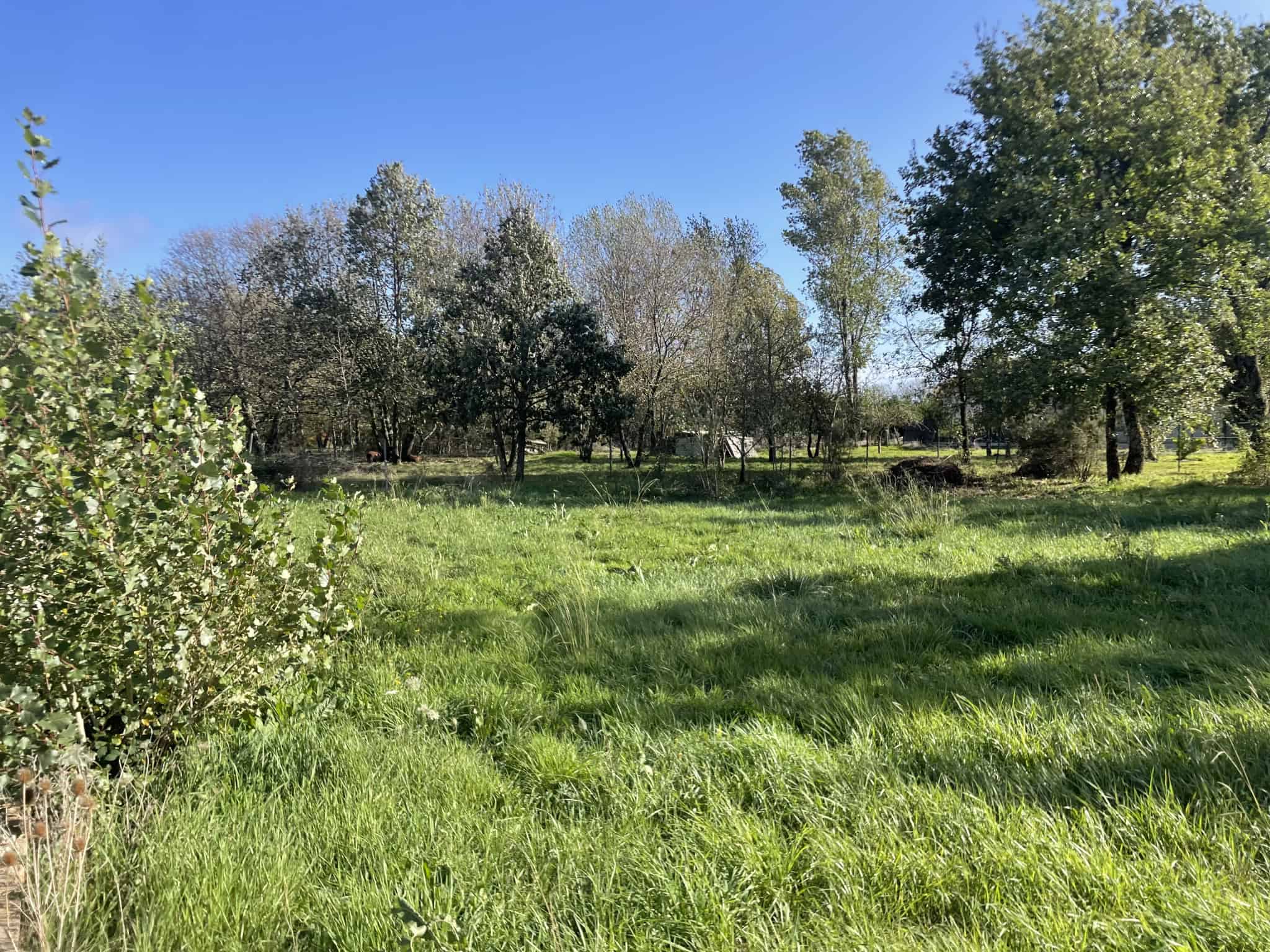 Vente maison à Castelnau d estretefonds (31620) de 125 m2 habitable sur terrain de 580 m2