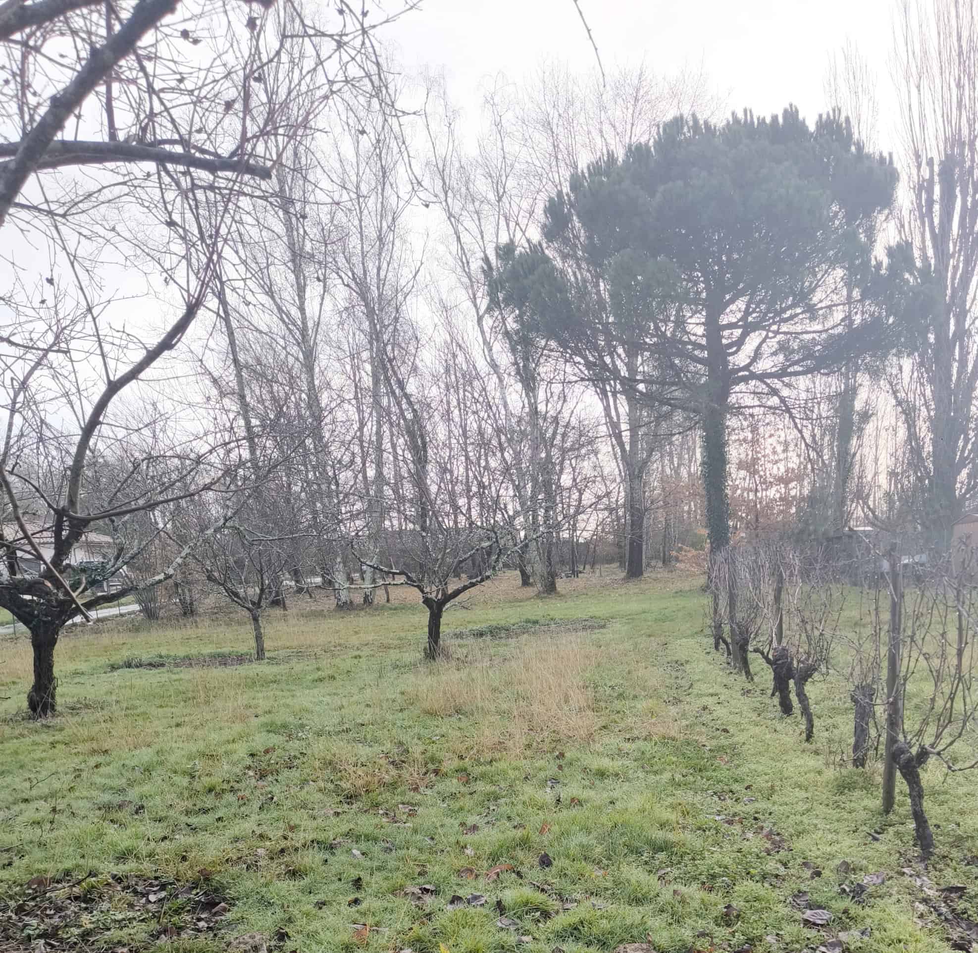Vente maison à Sadirac (33670) de 110 m2 habitable sur terrain de 2500 m2