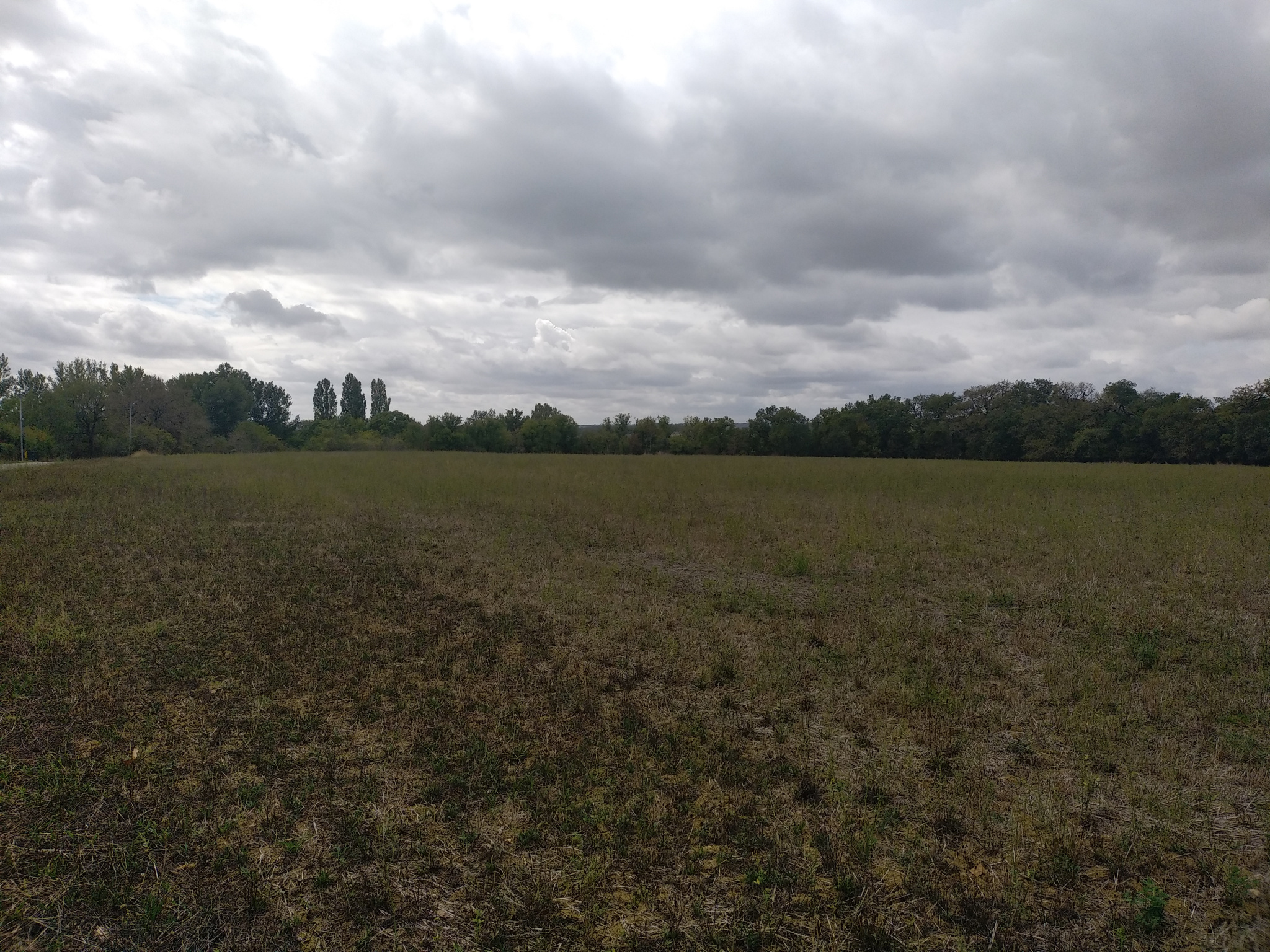 Vente maison à Astaffort (47220) de 80 m2 habitable sur terrain de 657 m2