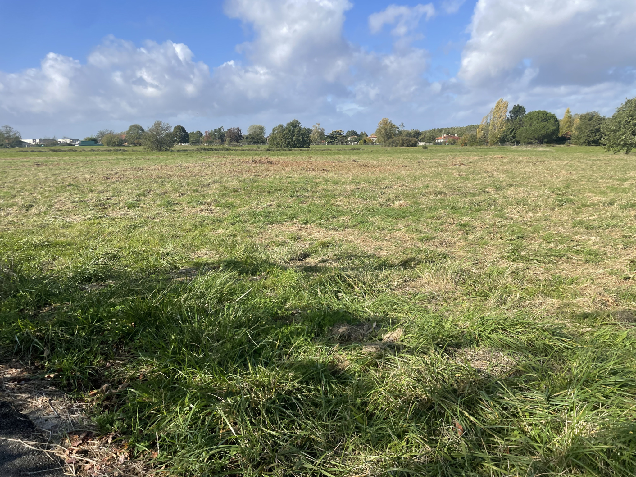 Vente maison à Bruguieres (31150) de 120 m2 habitable sur terrain de 690 m2