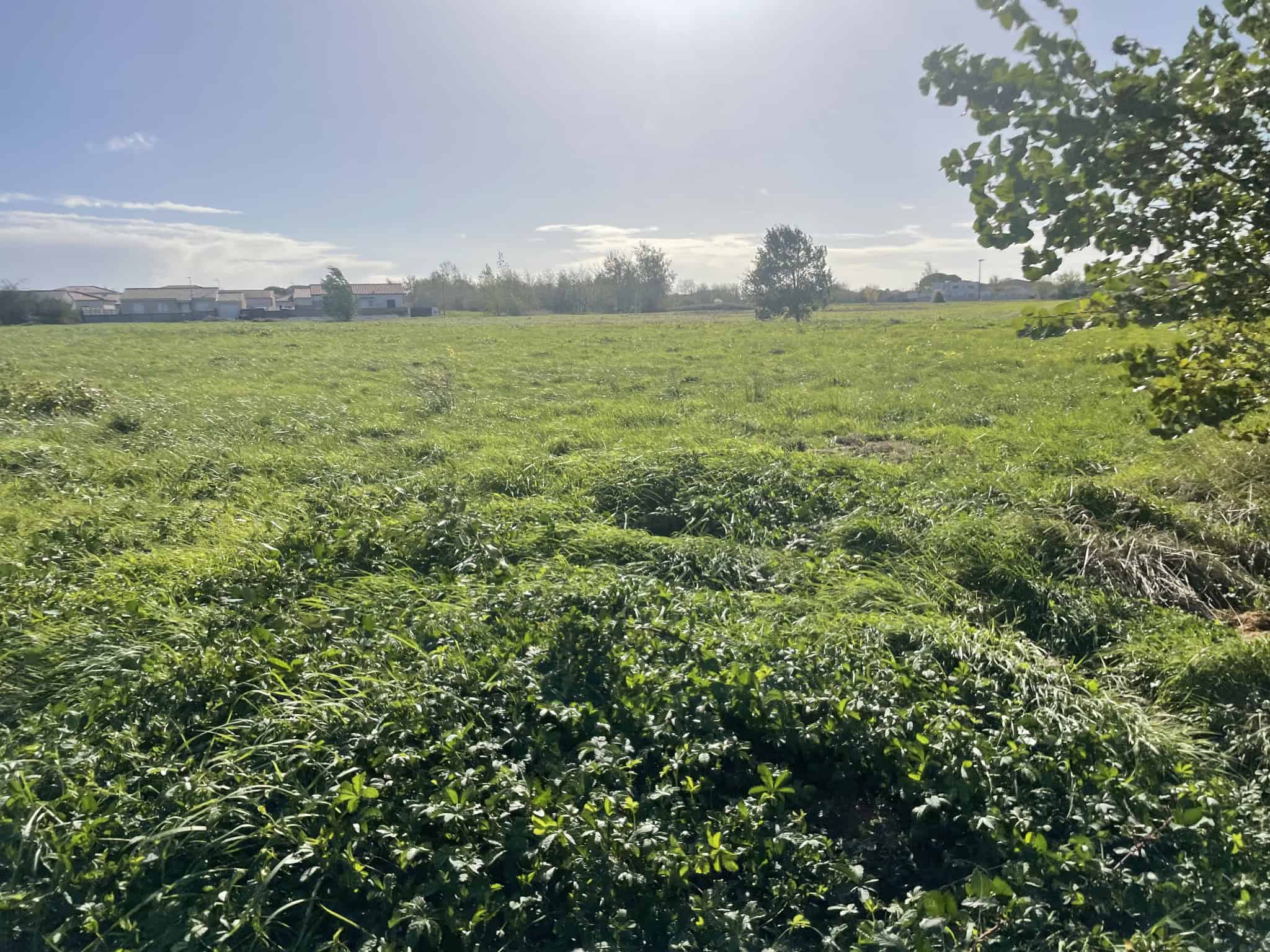 Vente maison à Negrepelisse (82800) de 80 m2 habitable sur terrain de 660 m2