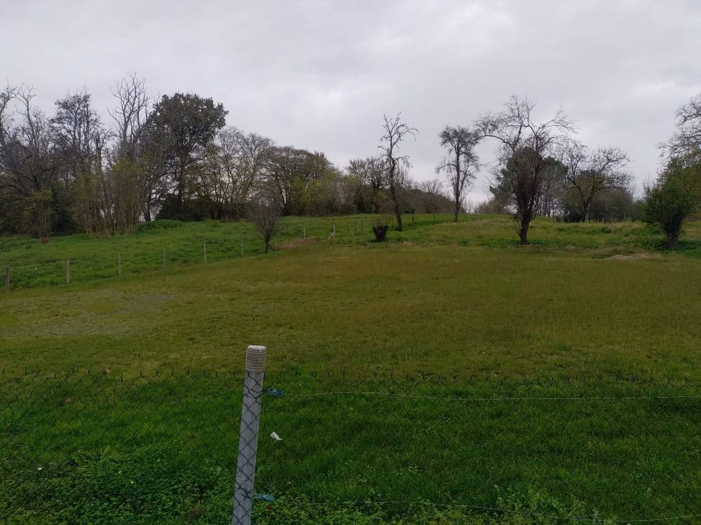 Vente maison à Sos (47170) de 60 m2 habitable sur terrain de 1461 m2