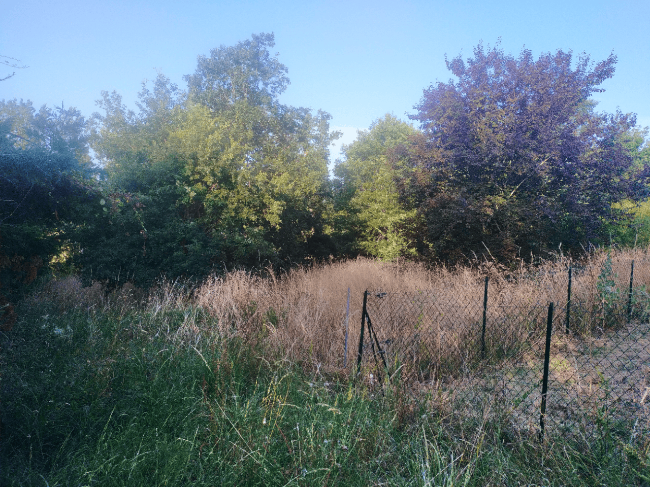 Vente maison à Astaffort (47220) de 105 m2 habitable sur terrain de 1566 m2