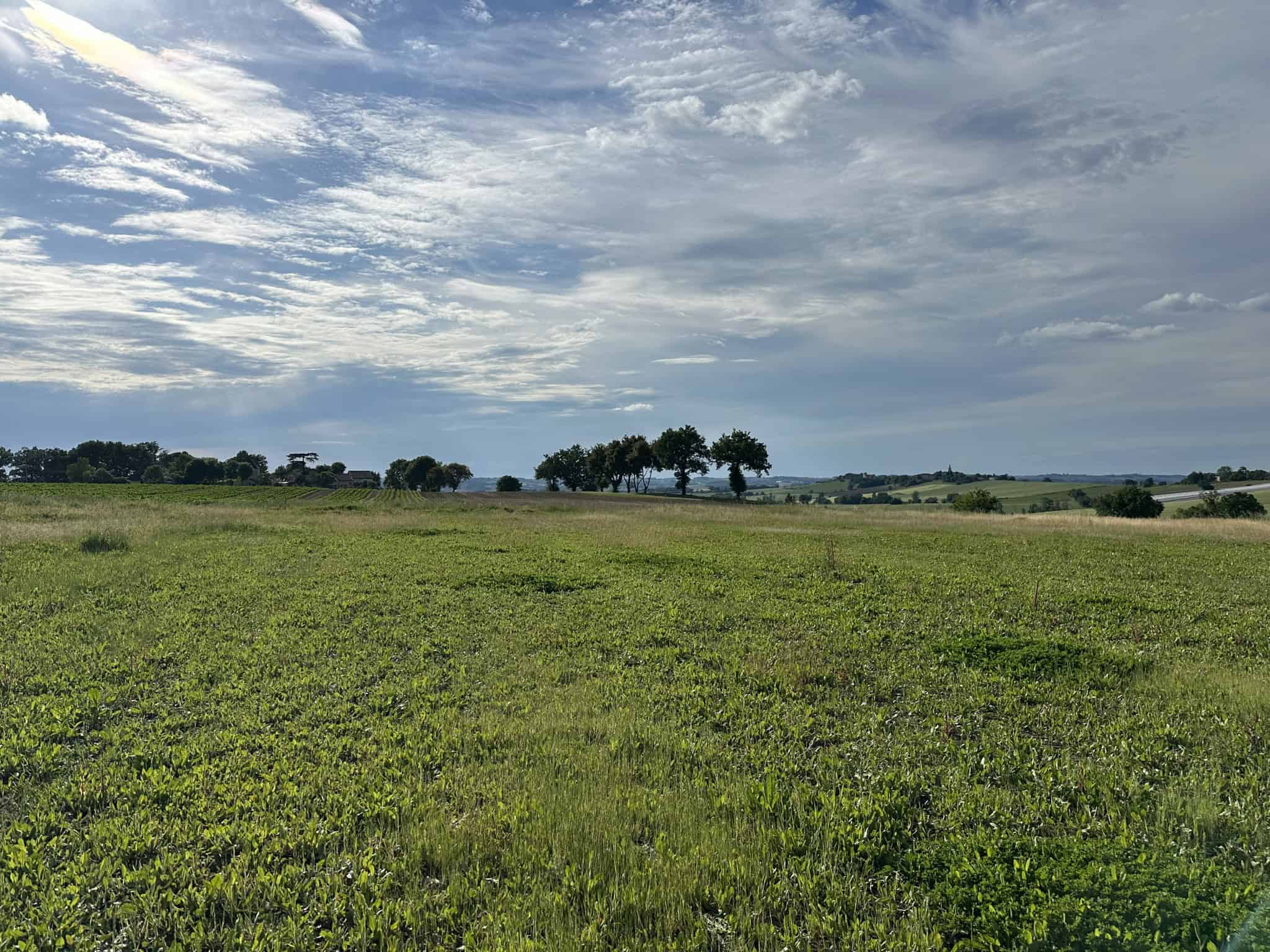 Vente maison à Astaffort (47220) de 80 m2 habitable sur terrain de 1064 m2