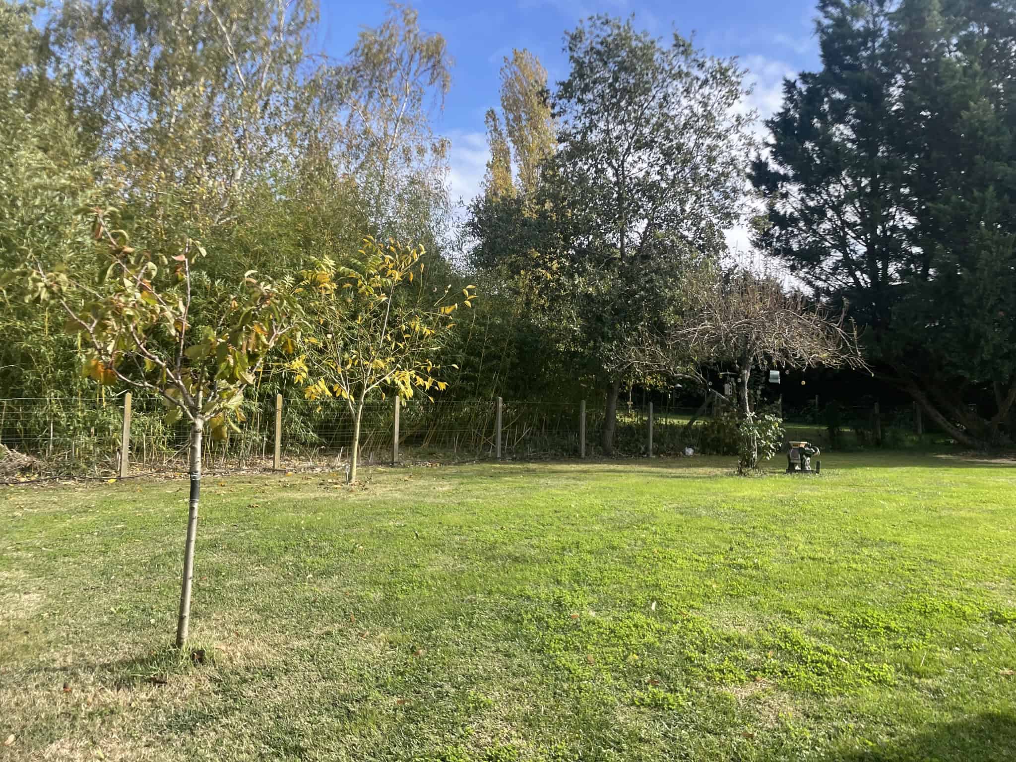 Vente maison à Balma (31130) de 131 m2 habitable sur terrain de 1400 m2