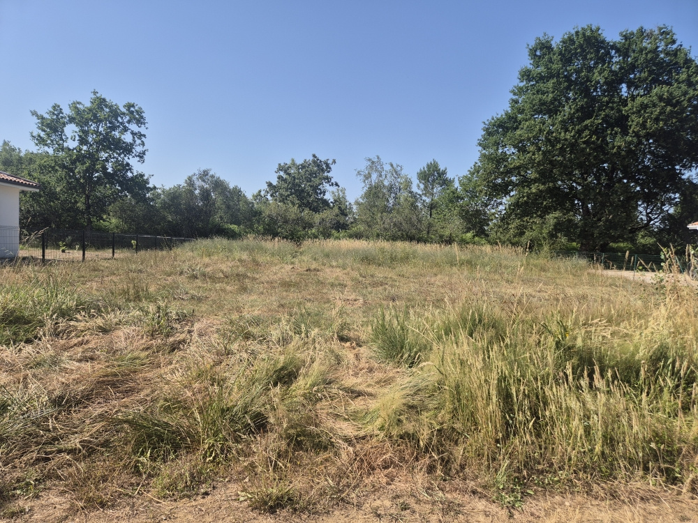 Vente maison à Bas mauco (40500) de 80 m2 habitable sur terrain de 674 m2