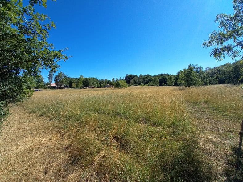 Vente maison à Monbalen (47340) de 136 m2 habitable sur terrain de 7400 m2