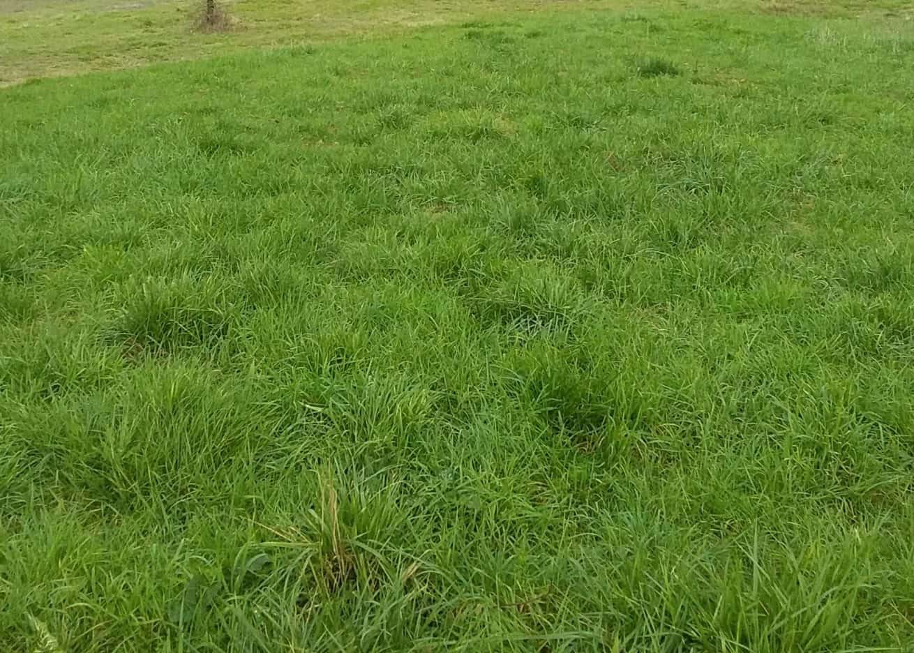 Vente maison à Monclar (47380) de 108 m2 habitable sur terrain de 4306 m2