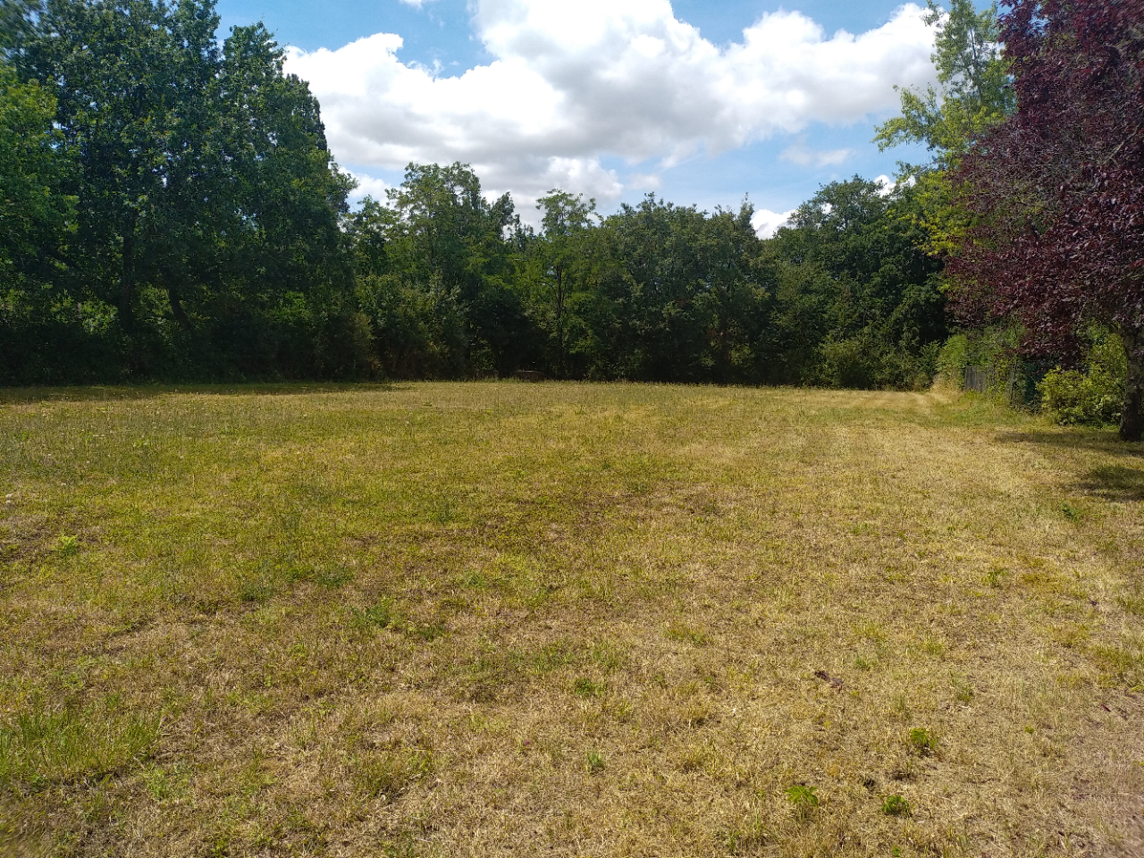 Vente maison à Nerac (47600) de 122 m2 habitable sur terrain de 1811 m2