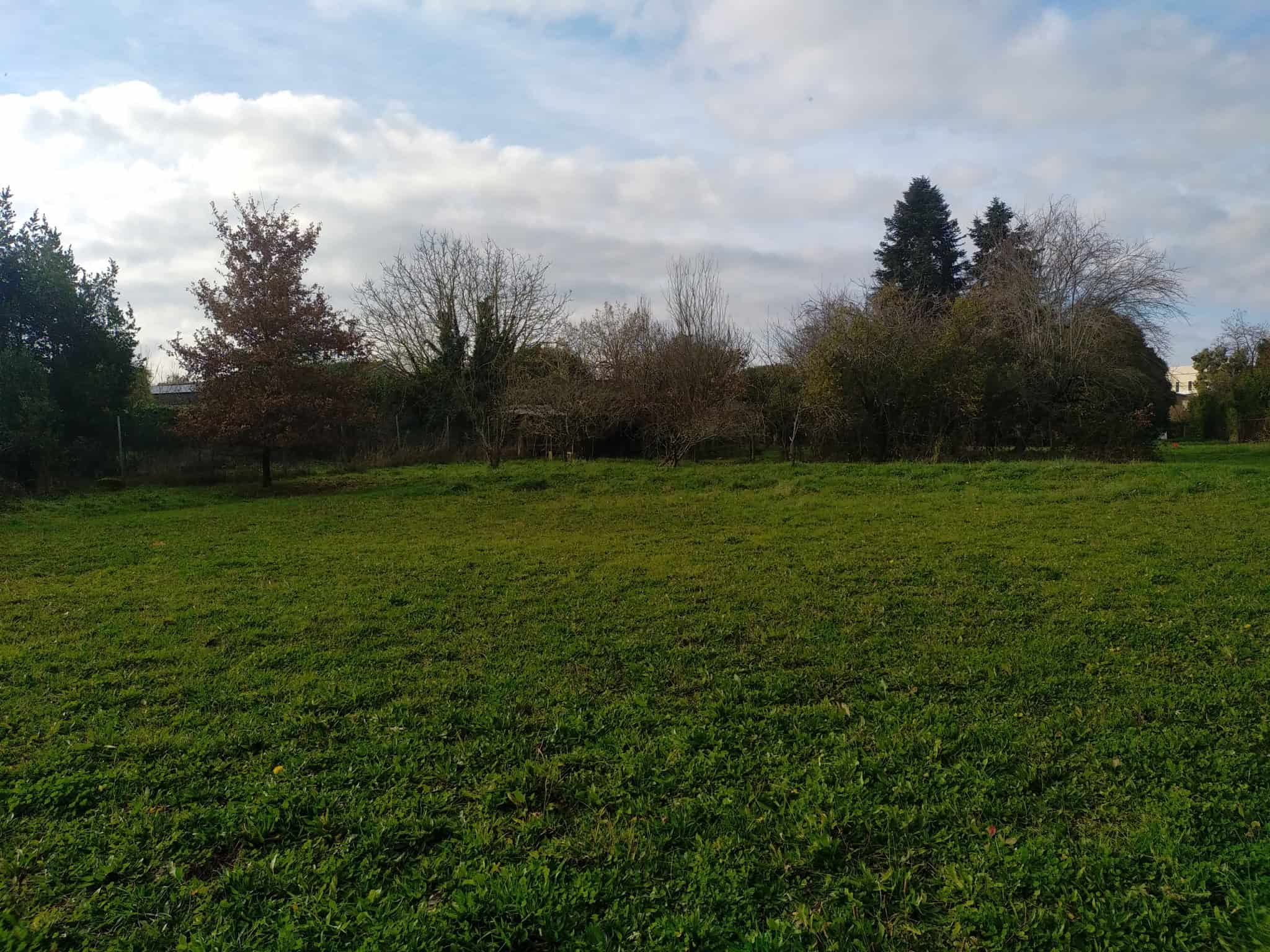 Vente maison à Ste colombe en bruilhois (47310) de 124 m2 habitable sur terrain de 1944 m2