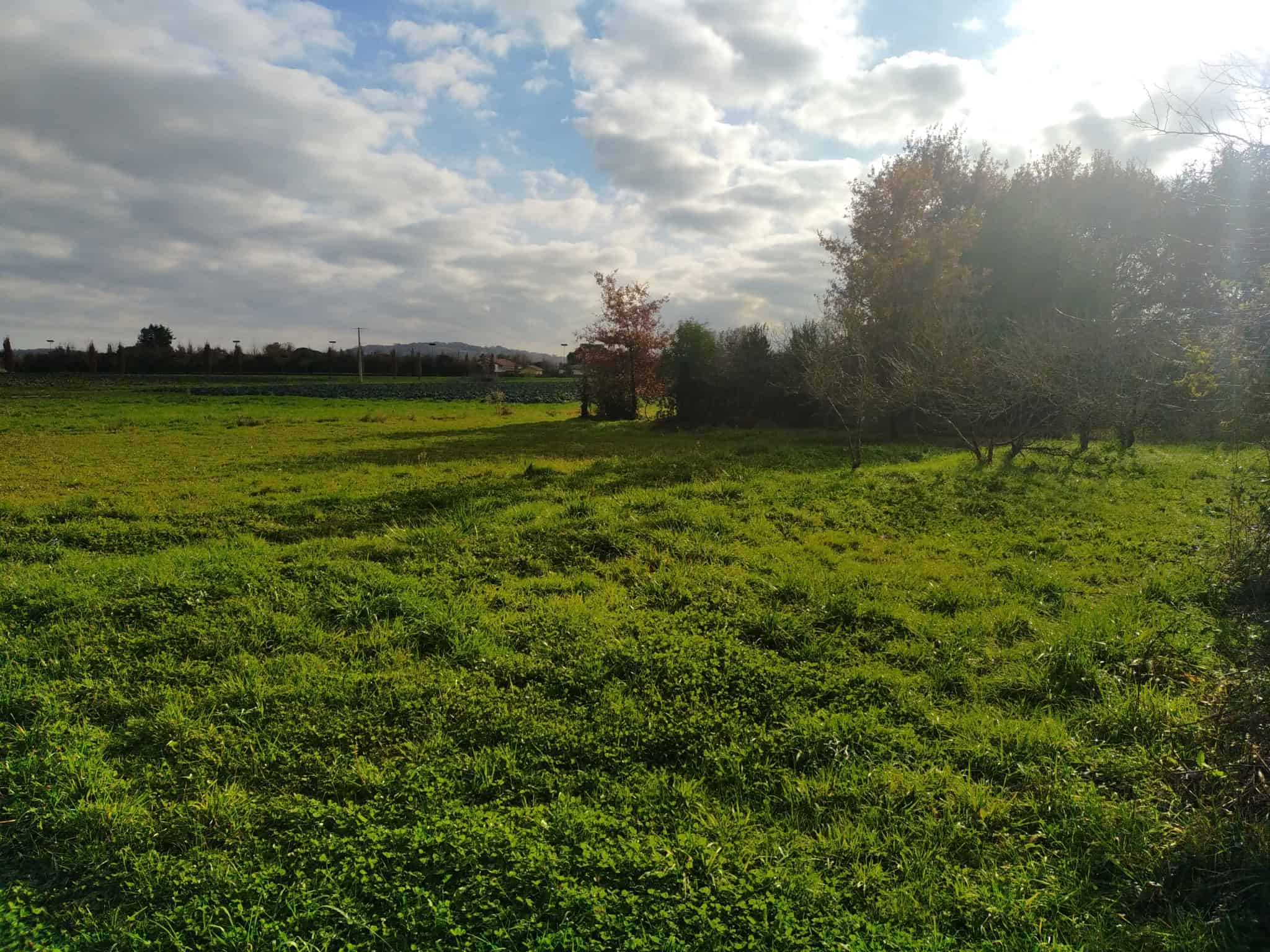 Vente maison à Ste colombe en bruilhois (47310) de 124 m2 habitable sur terrain de 1944 m2