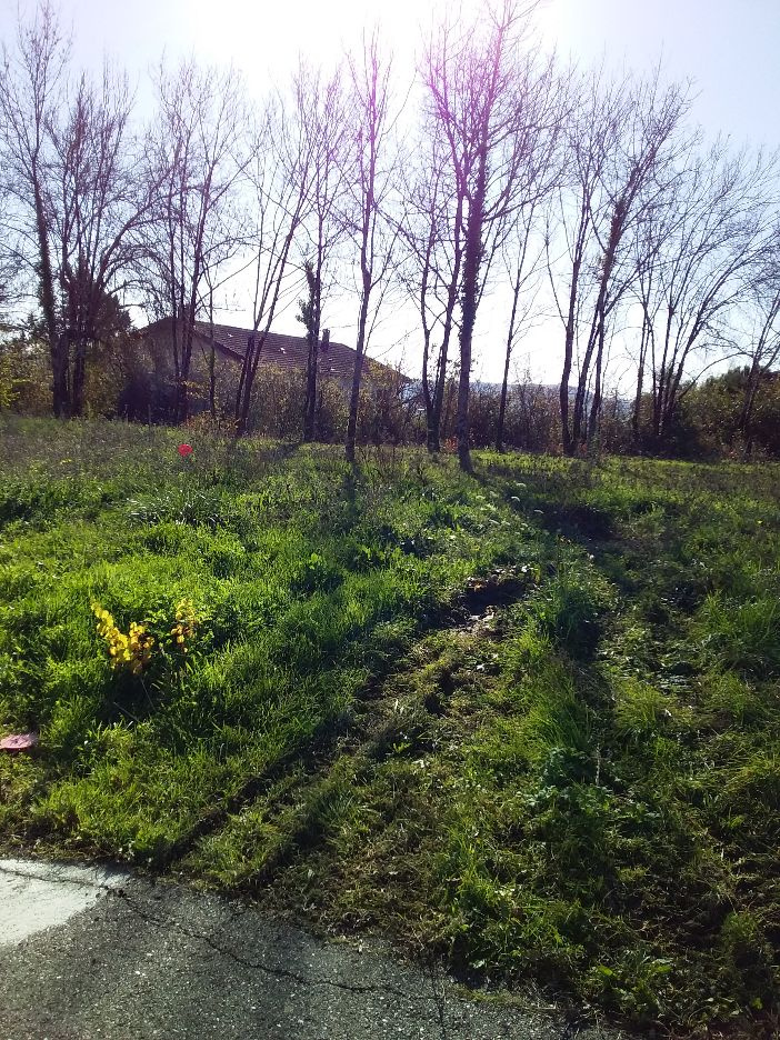 Vente maison à Villeneuve sur lot (47300) de 80 m2 habitable sur terrain de 463 m2