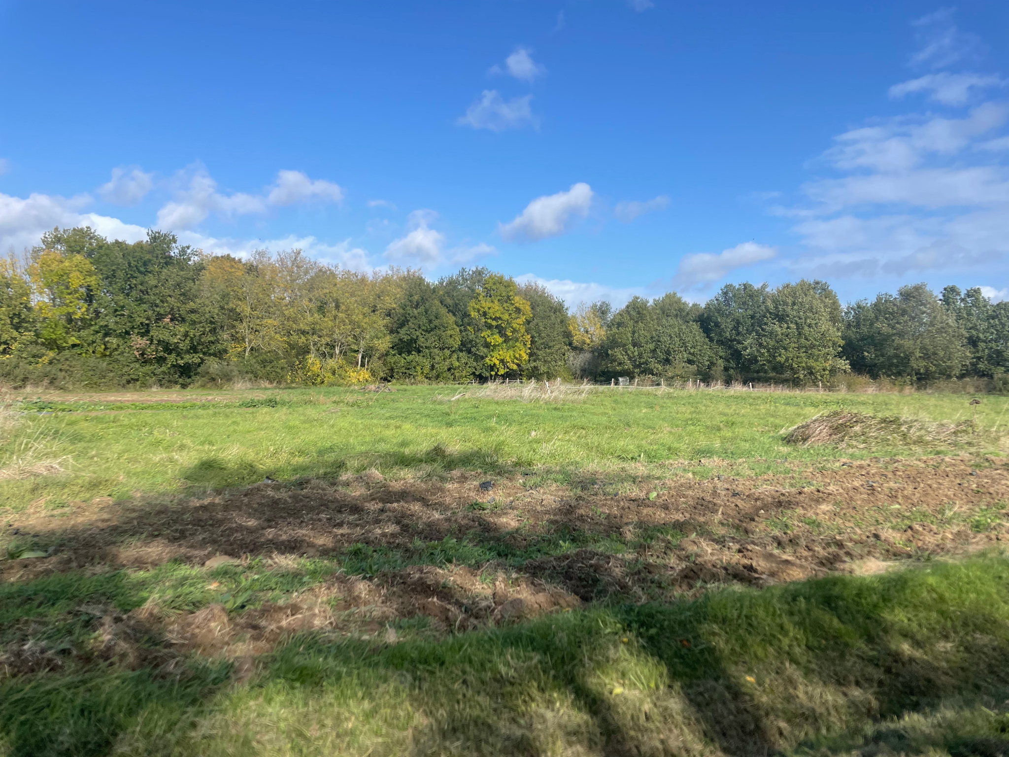 Vente maison à Fronton (31620) de 80 m2 habitable sur terrain de 1100 m2