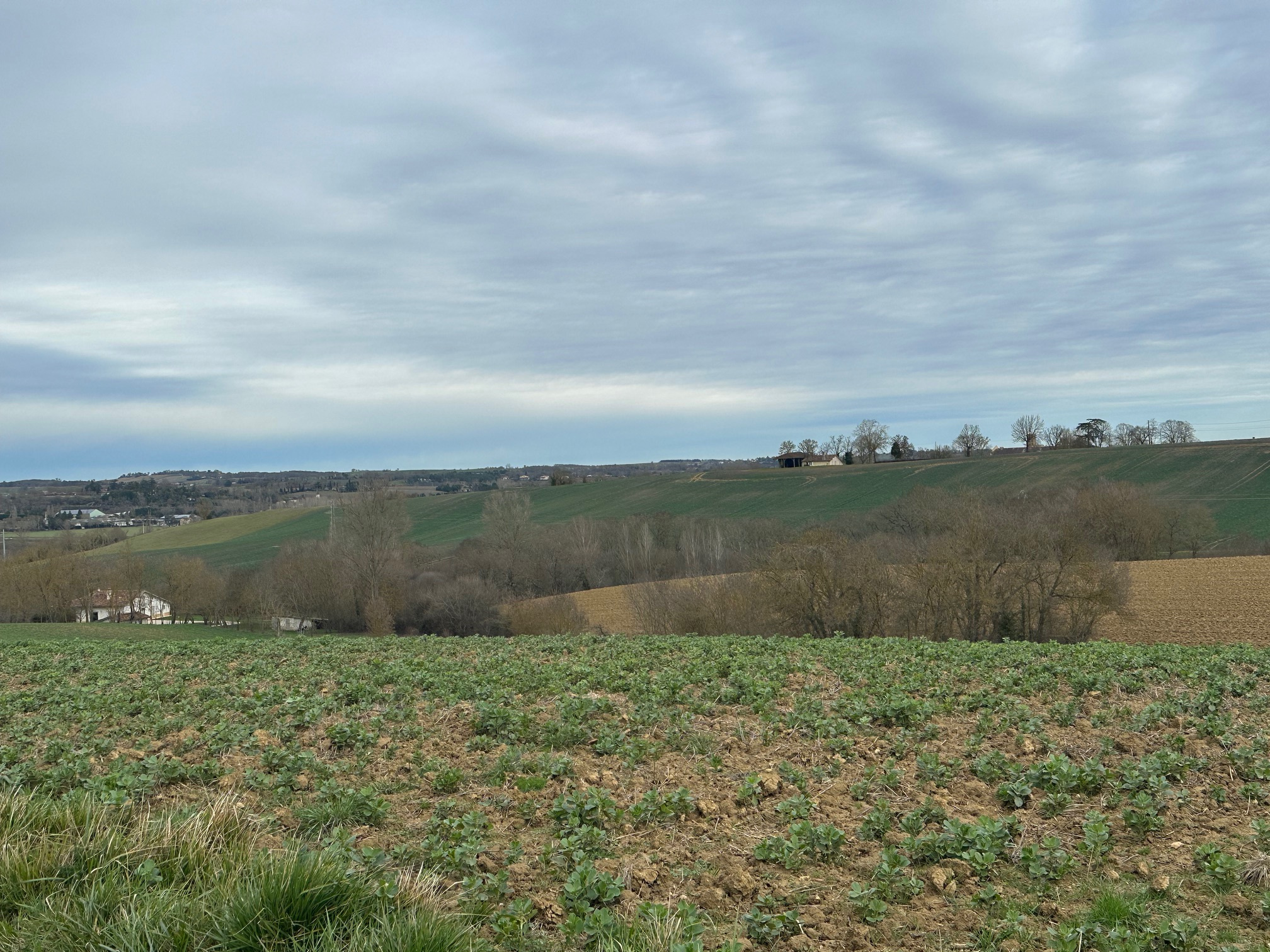 Vente maison à Gimont (32200) de 105 m2 habitable sur terrain de 2500 m2