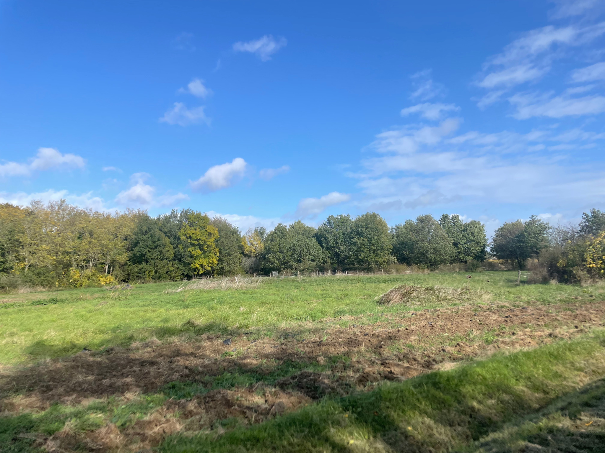 Vente maison à Villemur sur tarn (31340) de 80 m2 habitable sur terrain de 910 m2
