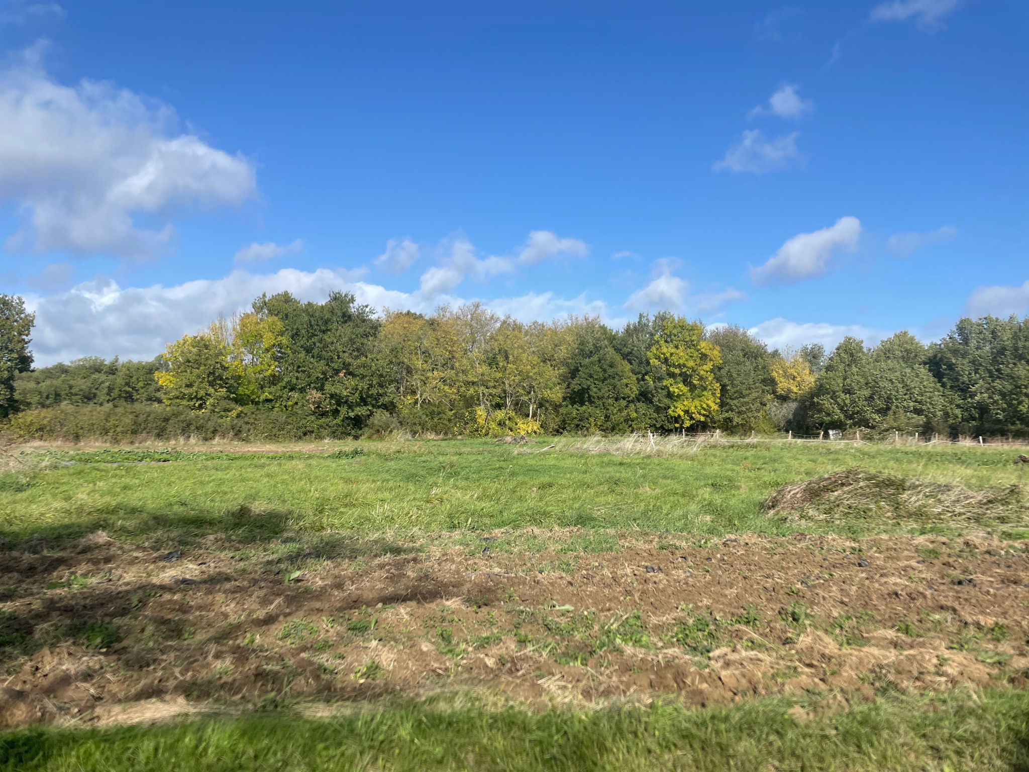 Vente maison à Villeneuve les bouloc (31620) de 80 m2 habitable sur terrain de 460 m2