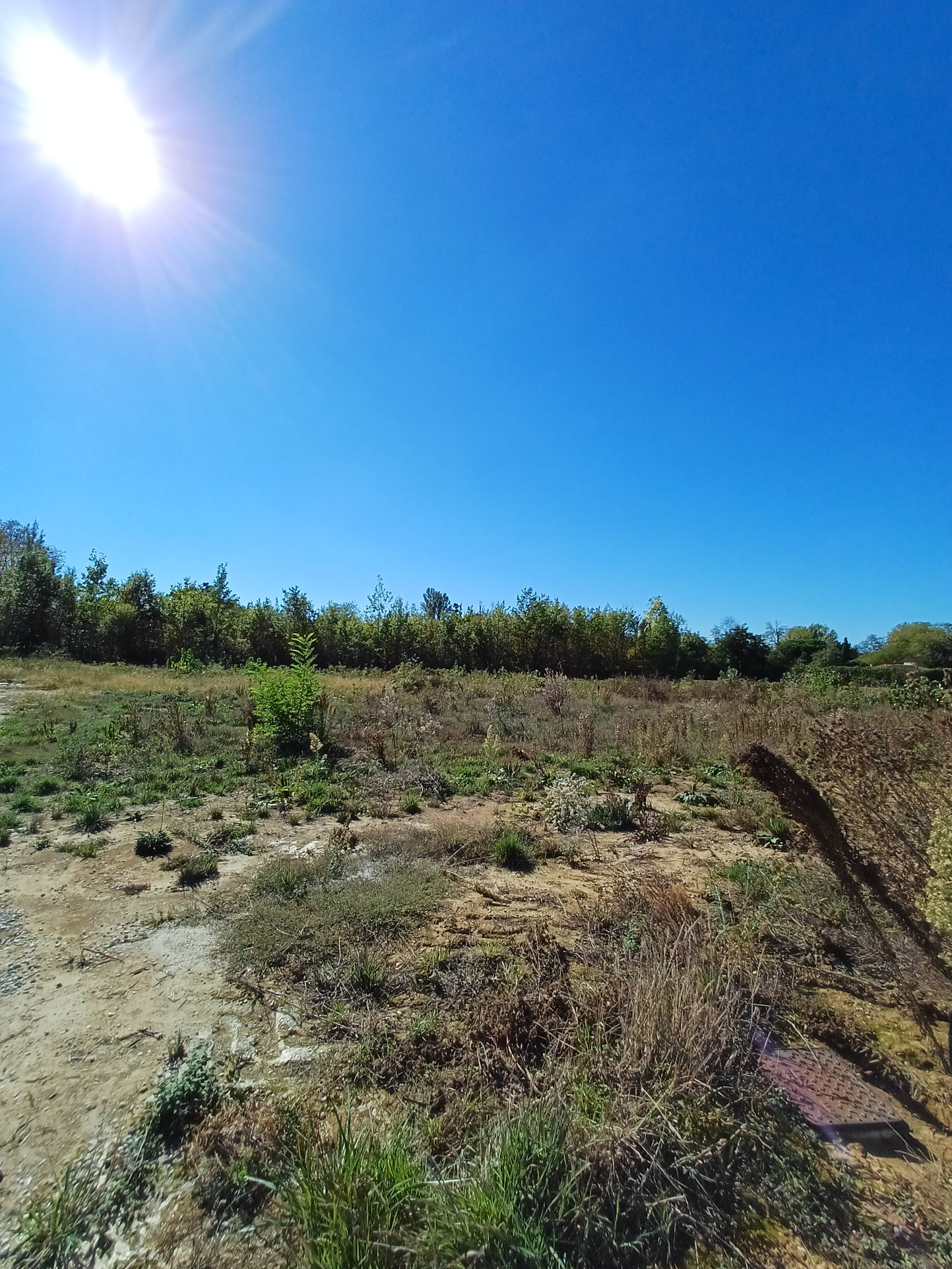 Vente maison à Lafox (47240) de 70 m2 habitable sur terrain de 753 m2