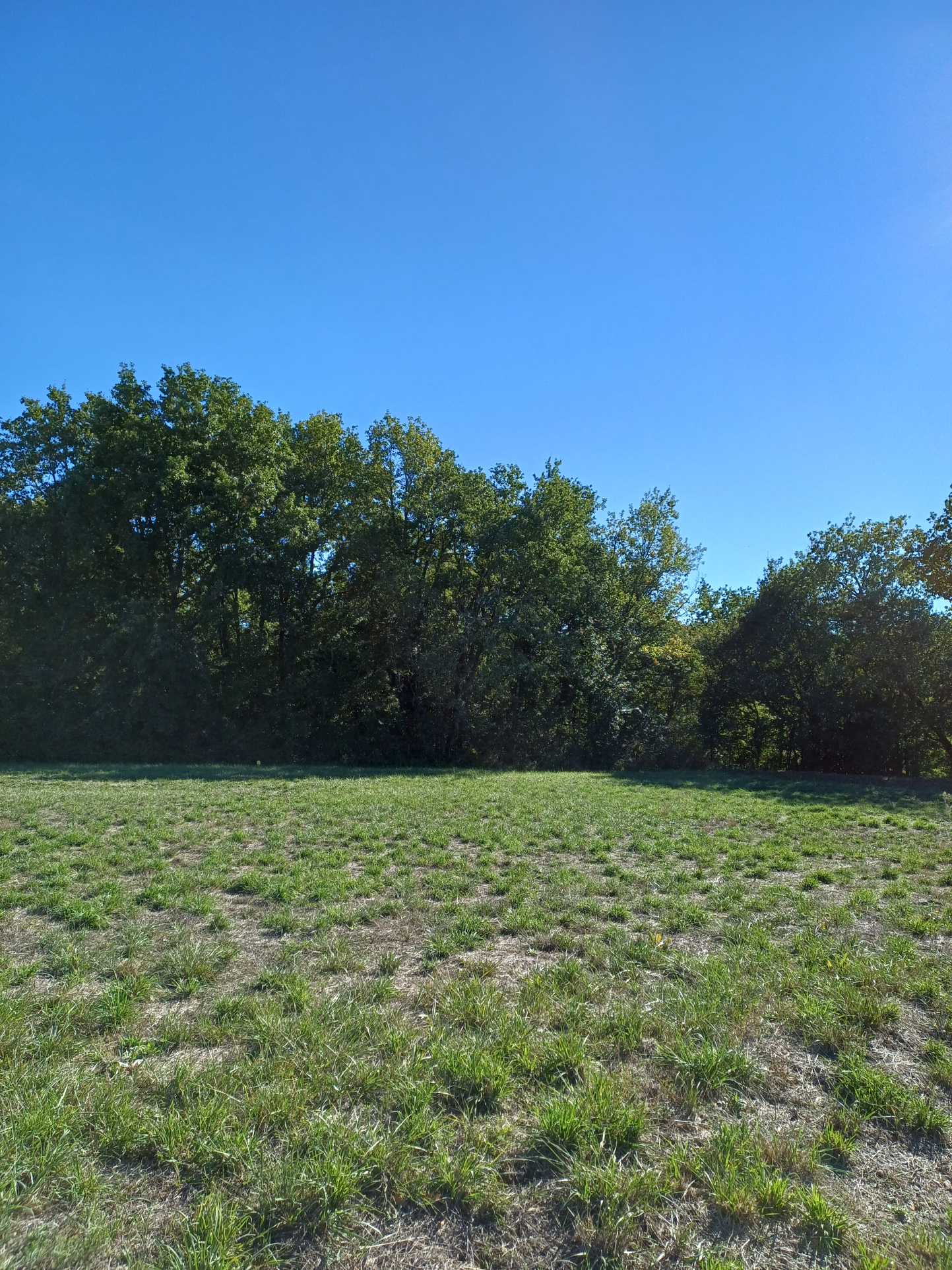 Vente maison à Laugnac (47360) de 105 m2 habitable sur terrain de 632 m2