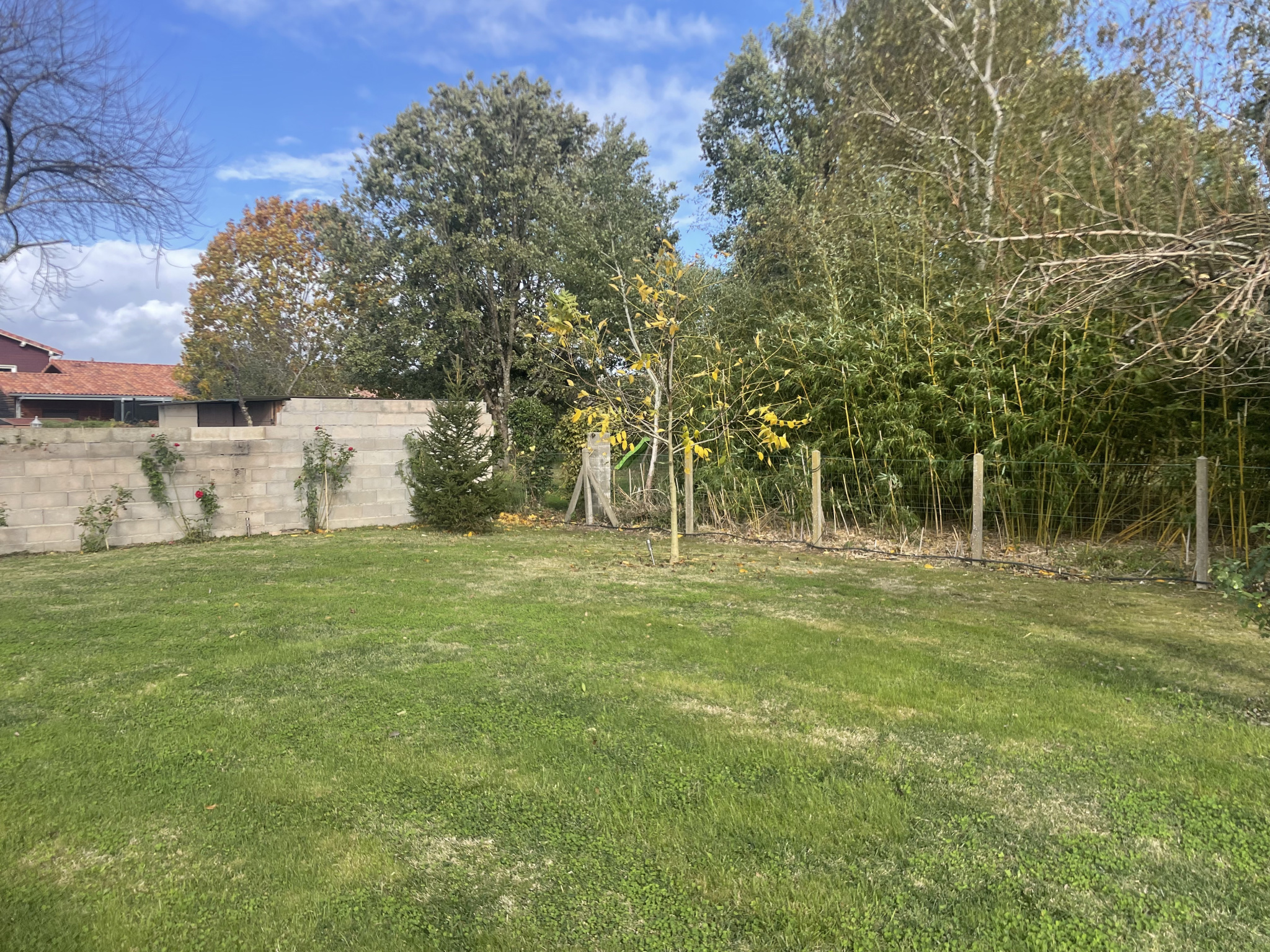 Vente maison à Plaisance du touch (31830) de 80 m2 habitable sur terrain de 1070 m2